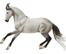 Load image into Gallery viewer, Jaguel Hilton-Criollo Stallion Mold-New in Box-Breyer Traditional-PRE ORDER