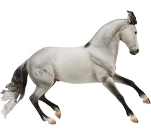 Load image into Gallery viewer, Jaguel Hilton-Criollo Stallion Mold-New in Box-Breyer Traditional-PRE ORDER