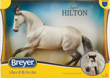Load image into Gallery viewer, Jaguel Hilton-Criollo Stallion Mold-New in Box-Breyer Traditional-PRE ORDER