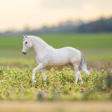 Load image into Gallery viewer, Caprechio del Richuelo-El Pastor Paso Fino Mold-Breyer Traditional-PRE ORDER