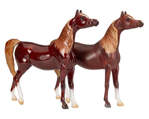 Akilah-Glossy Version-Premier Club Exclusive-Show Stance Arabian Mold-Breyer Stablemate