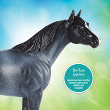 Load image into Gallery viewer, Blue Roan Appaloosa-Show Stock Horse Mold-New in Box-Breyer Classic