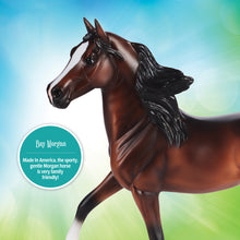 Load image into Gallery viewer, Bay Morgan-Morgan Stallion Mold-New in Box-Breyer Classic-PRE ORDER