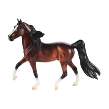 Load image into Gallery viewer, Bay Morgan-Morgan Stallion Mold-New in Box-Breyer Classic-PRE ORDER