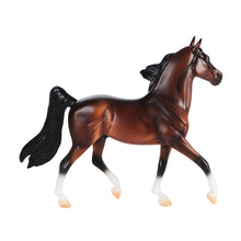 Load image into Gallery viewer, Bay Morgan-Morgan Stallion Mold-New in Box-Breyer Classic-PRE ORDER