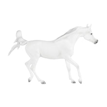 Load image into Gallery viewer, Grey Arabian-Prancing Arabian Mare Mold-New in Box-Breyer Classic-PRE ORDER