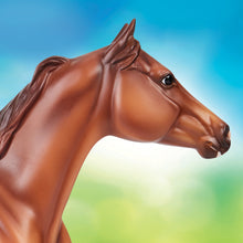 Load image into Gallery viewer, Apollitico Jess-Geronimo Mold-New in Box-Breyer Traditional-PRE ORDER