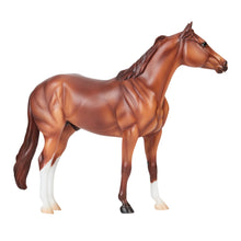 Load image into Gallery viewer, Apollitico Jess-Geronimo Mold-New in Box-Breyer Traditional-PRE ORDER