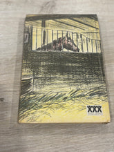 Load image into Gallery viewer, The Horse that Had Everything-Vintage Book