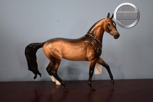 Load image into Gallery viewer, Akhal Teke-Buckskin Version-Glossy Finish-Peter Stone Loyalty Club Exclusive-Peter Stone