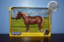 Load image into Gallery viewer, Chestnut Quarter Horse Yearling &quot;Warehouse Find&quot; #430046-New in Box-Quarter Horse Yearling Mold-Breyer Traditional