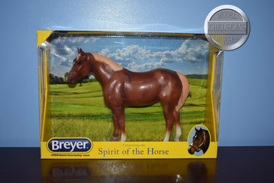 Chestnut Quarter Horse Yearling 