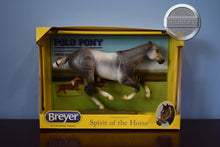 Load image into Gallery viewer, Santiago-Damaged Box-Smarty Jones (Polo Version) Mold-New in Box-Breyer Traditional