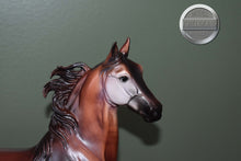 Load image into Gallery viewer, Kehinde-Collector Club Exclusive-American Saddlebred Mold-Breyer Traditional