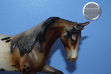 Load image into Gallery viewer, Wind Dancer-LE of 30-Jackie Turner Customization-Thoroughbred Mold-Peter Stone