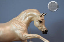 Load image into Gallery viewer, Thunder-Bronco&#39;s Mascot-Ashquar Mold-Breyer Traditional