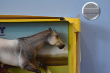 Load image into Gallery viewer, Santiago-Damaged Box-Smarty Jones (Polo Version) Mold-New in Box-Breyer Traditional