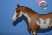 Load image into Gallery viewer, Indiana #2-Quarter Horse Yearling Mold-Breyer Traditional
