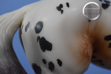 Load image into Gallery viewer, Wind Dancer-LE of 30-Jackie Turner Customization-Thoroughbred Mold-Peter Stone