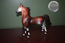 Load image into Gallery viewer, Kehinde-Collector Club Exclusive-American Saddlebred Mold-Breyer Traditional