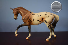 Load image into Gallery viewer, Wind Dancer-LE of 30-Jackie Turner Customization-Thoroughbred Mold-Peter Stone
