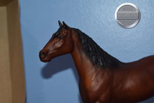 Load image into Gallery viewer, Galiceno-Vintage Box-Original on the Mold-Breyer Traditional