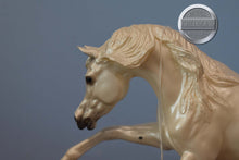 Load image into Gallery viewer, Thunder-Bronco&#39;s Mascot-Ashquar Mold-Breyer Traditional