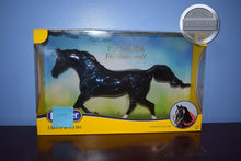 Load image into Gallery viewer, Glossy KB Omego-From Appreciation Event-New in Box-Shagya Arabian Mold-Breyer Traditional