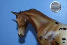 Load image into Gallery viewer, Wind Dancer-LE of 30-Jackie Turner Customization-Thoroughbred Mold-Peter Stone