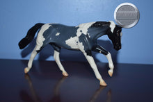 Load image into Gallery viewer, Poco Grande-LE 12-Pebbles-Stock Horse-Peter Stone