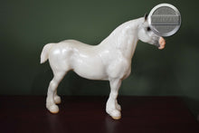 Load image into Gallery viewer, Gladwin Lucky Grey Lady-Breyerfest Exclusive-Clydesdale Mare Mold-Breyer Traditional