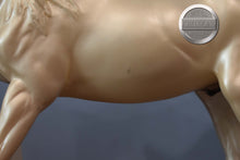 Load image into Gallery viewer, Thunder-Bronco&#39;s Mascot-Ashquar Mold-Breyer Traditional