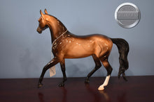 Load image into Gallery viewer, Akhal Teke-Buckskin Version-Glossy Finish-Peter Stone Loyalty Club Exclusive-Peter Stone