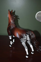Load image into Gallery viewer, Kehinde-Collector Club Exclusive-American Saddlebred Mold-Breyer Traditional