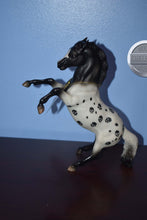 Load image into Gallery viewer, Crane-Halloween Exclusive-Rearing Mustang Mold-Breyer Classic