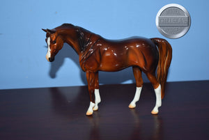 Unknown Name-Glossy-Chestnut-Pebbles Arabian Mold-Peter Stone