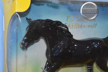 Load image into Gallery viewer, Glossy KB Omego-From Appreciation Event-New in Box-Shagya Arabian Mold-Breyer Traditional