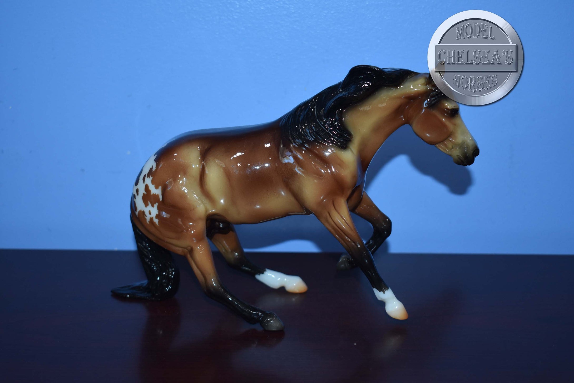 Slyder-Appaloosa Version-Web Special-Breyer Classic