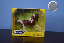 Load image into Gallery viewer, Florian-New in Box-Stablemate Club Exclusive-Breyer Stablemate