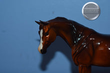Load image into Gallery viewer, Unknown Name-Glossy-Chestnut-Pebbles Arabian Mold-Peter Stone