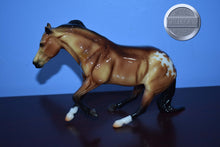 Load image into Gallery viewer, Slyder-Appaloosa Version-Web Special-Breyer Classic
