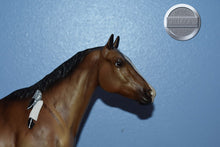 Load image into Gallery viewer, Indian Pony-Appaloosa Performance Horse-Chalky Version-Breyer Traditional