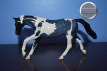 Load image into Gallery viewer, Poco Grande-LE 12-Pebbles-Stock Horse-Peter Stone