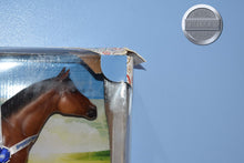 Load image into Gallery viewer, Bravour 54-Trakenher Mold-Breyerfest Exclusive-Damaged Box-Breyer Traditional