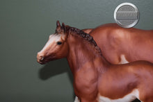 Load image into Gallery viewer, Dempsey and Quincy-Clydesdale Mare and Foal Mold-Breyer Traditional