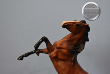 Load image into Gallery viewer, Wild and Free-Rearing Mustang ONLY-Rearing Mustang Mold-Breyer Classic