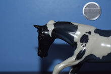Load image into Gallery viewer, Poco Grande-LE 12-Pebbles-Stock Horse-Peter Stone