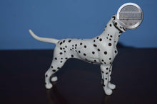 Load image into Gallery viewer, Dalmation-Companion Animal-Breyer Companion Accessories