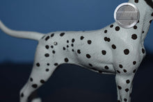 Load image into Gallery viewer, Dalmation-Companion Animal-Breyer Companion Accessories