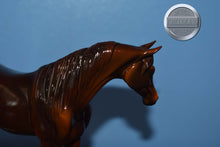 Load image into Gallery viewer, Unknown Name-Glossy-Chestnut-Pebbles Arabian Mold-Peter Stone